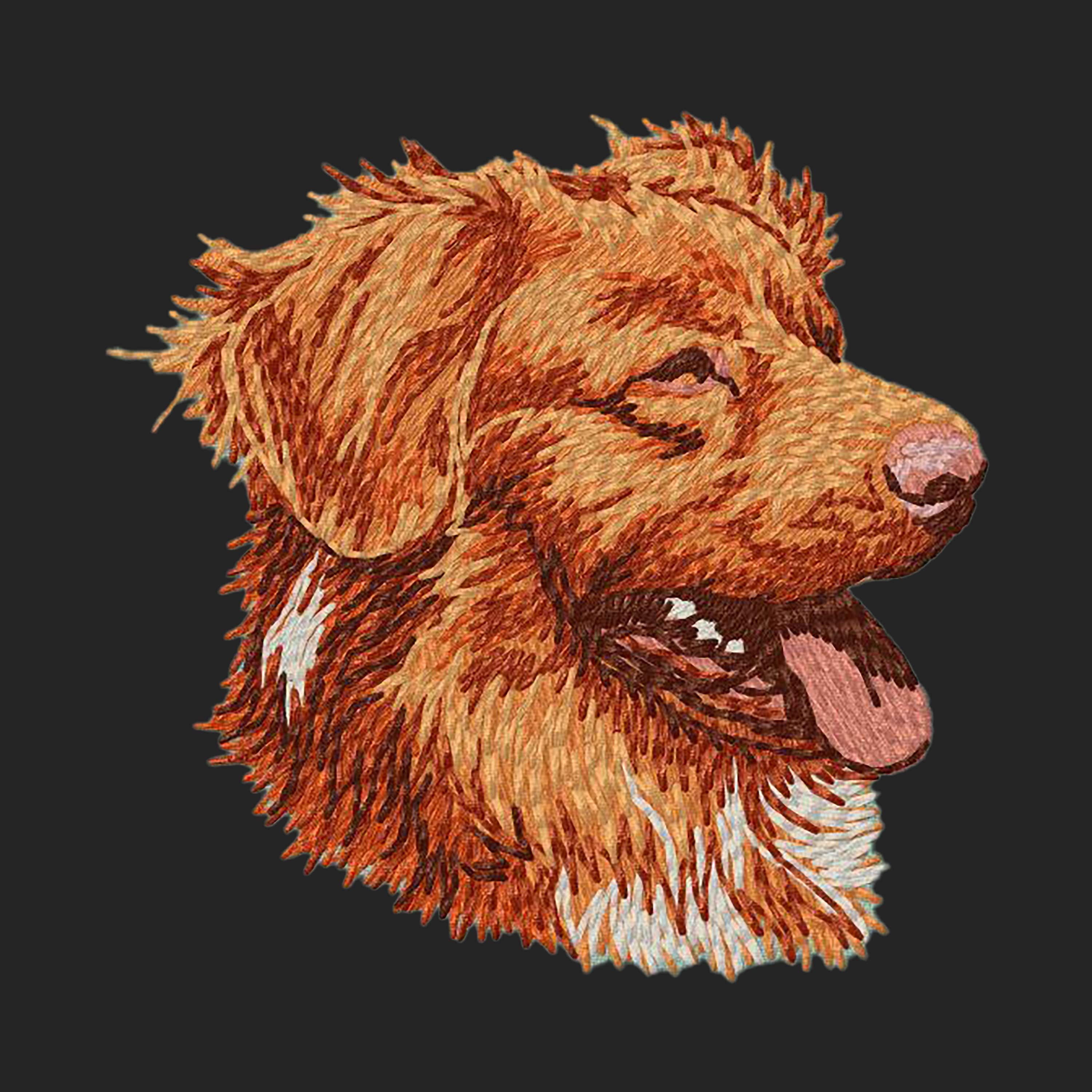 Nova Scotia Duck Tolling Retriever Embroidered Sweatshirt Hoodie - Image 2