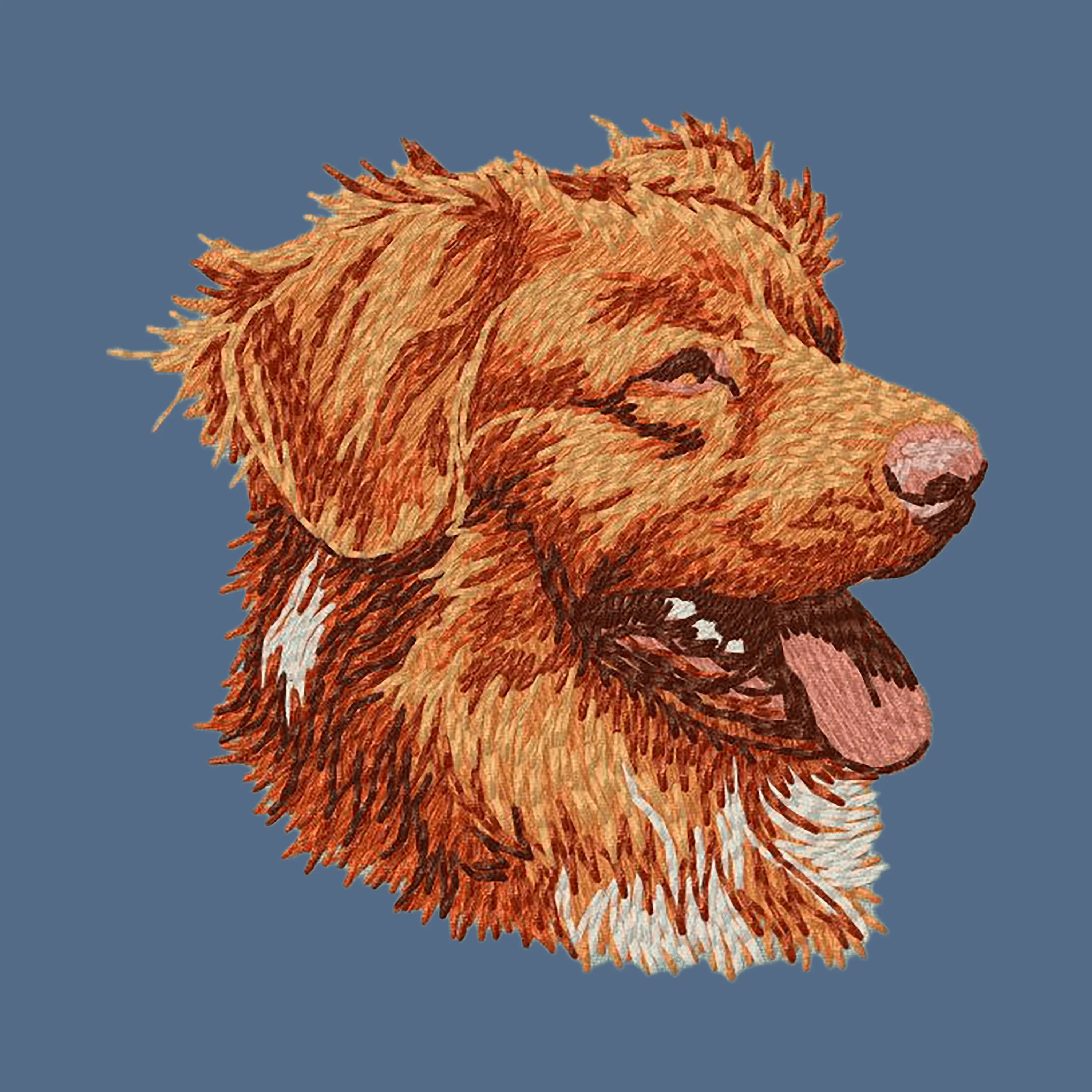 Nova Scotia Duck Tolling Retriever Embroidered Women's Denim Shirt - Image 2