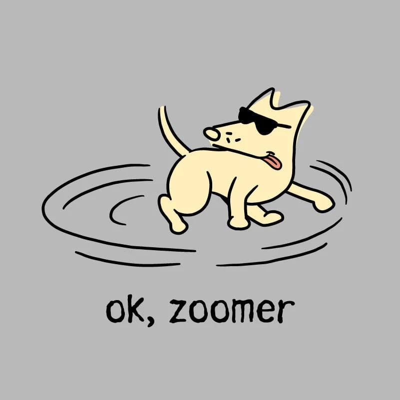 Ok, Zoomer - Lightweight Tee - Image 2
