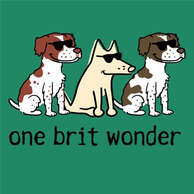 One Brit Wonder - Ladies T-Shirt V-Neck - Image 4