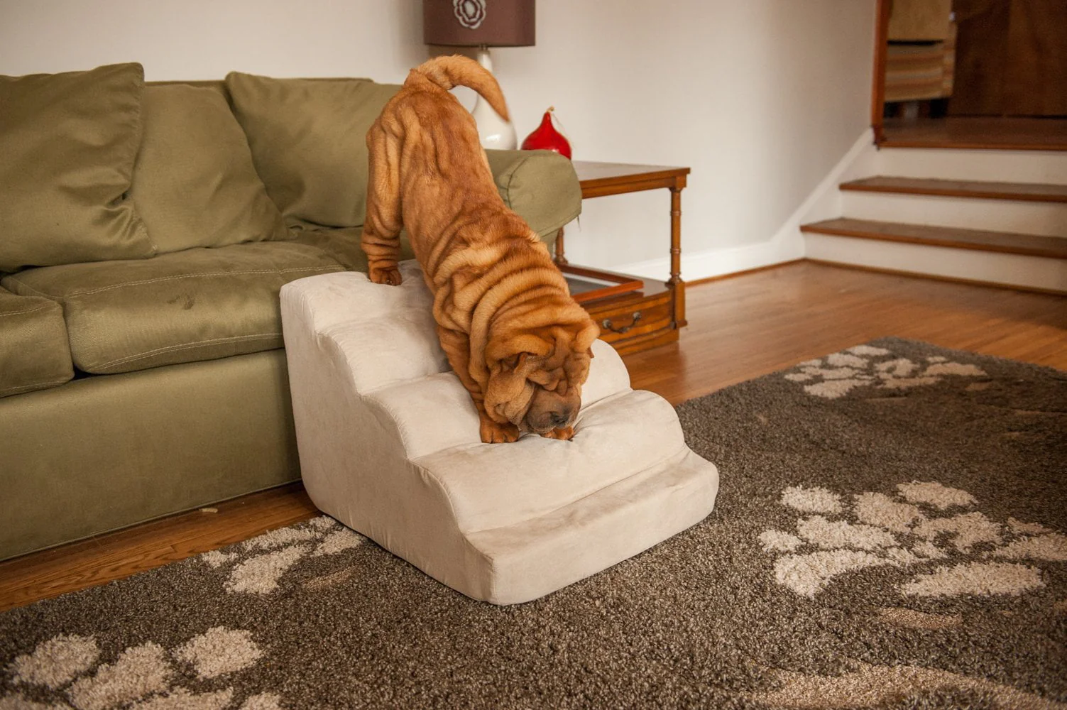 Orthopedic Scalloped Dog Ramp - Image 2