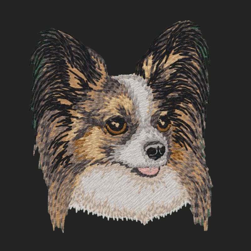 Papillon Embroidered Sweatshirt Hoodie - Image 2
