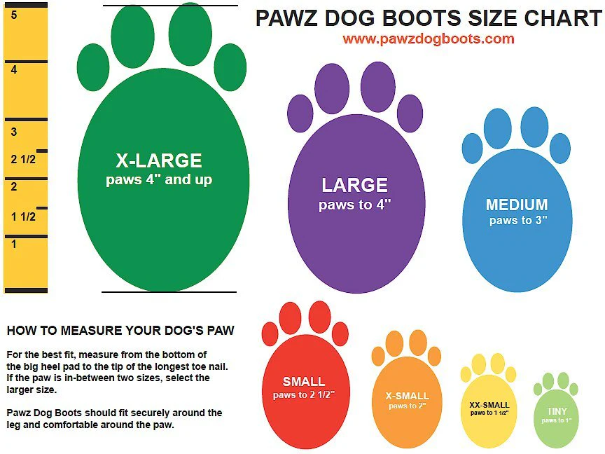 Pawz Waterproof Dog Boots, 12 count - Image 2