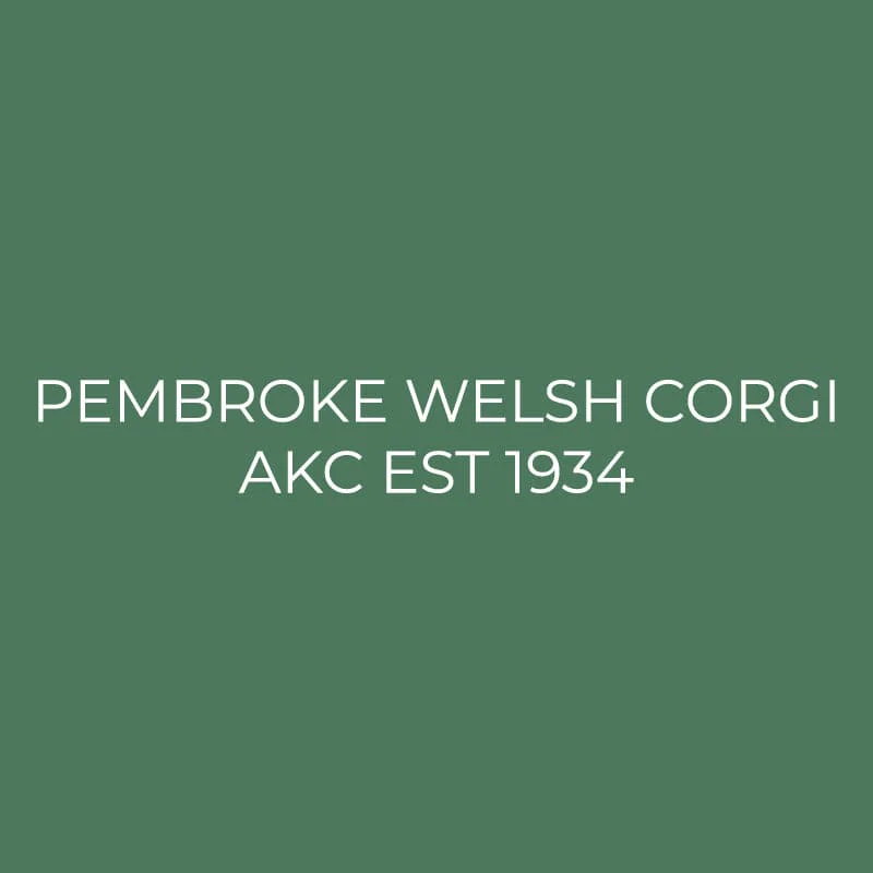 Pembroke Welsh Corgi Embroidered AKC Quarter Zip - Image 12