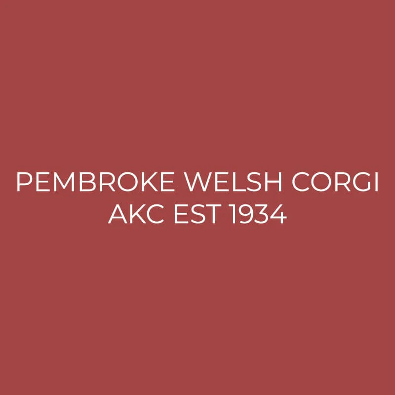Pembroke Welsh Corgi Embroidered AKC Quarter Zip - Image 3