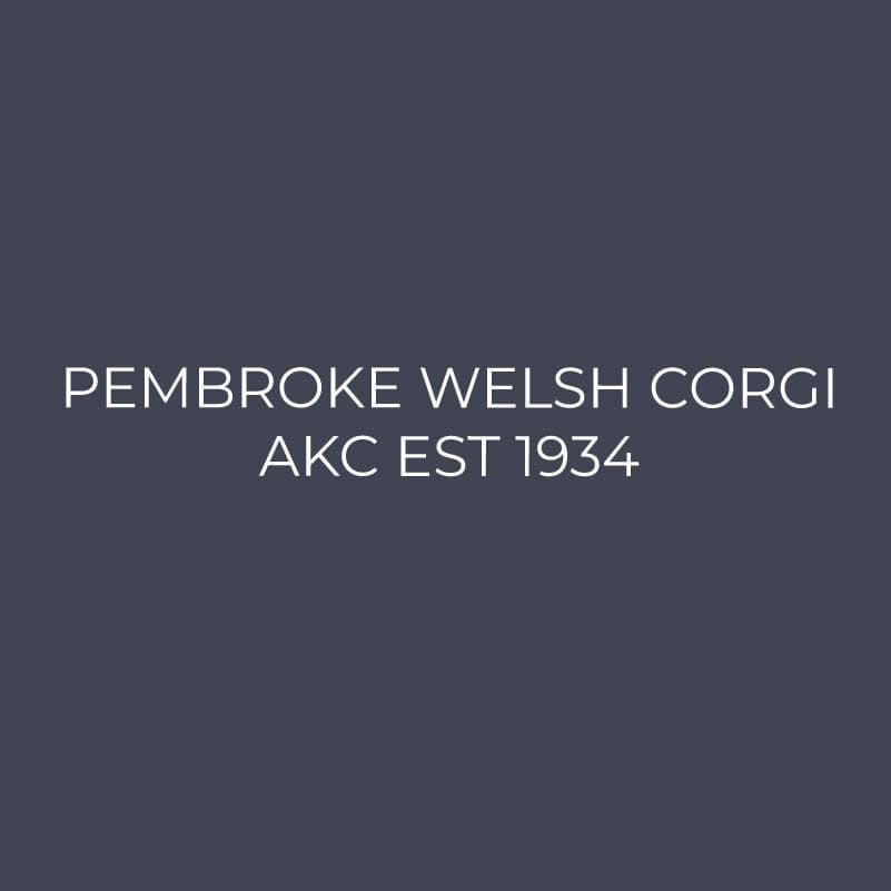 Pembroke Welsh Corgi Embroidered AKC Quarter Zip - Image 9