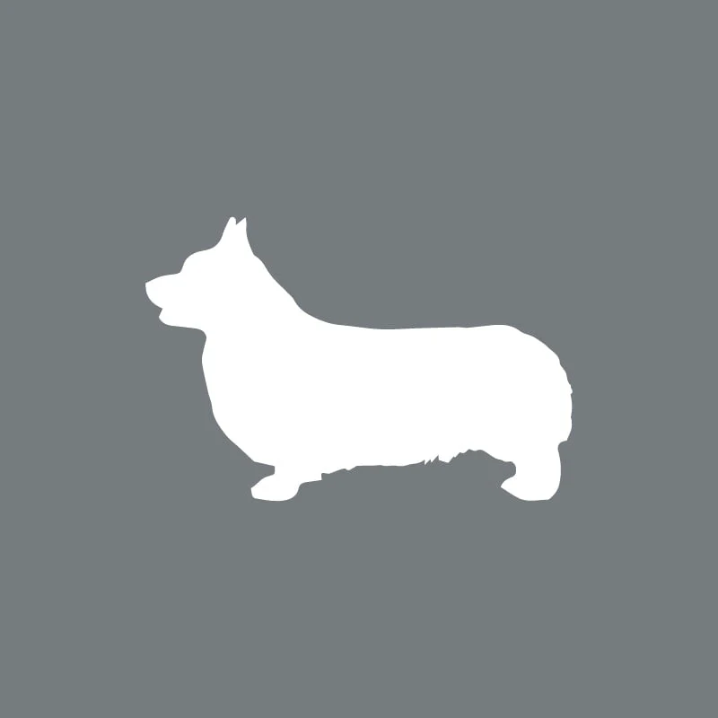 Pembroke Welsh Corgi - Beanie - Image 2