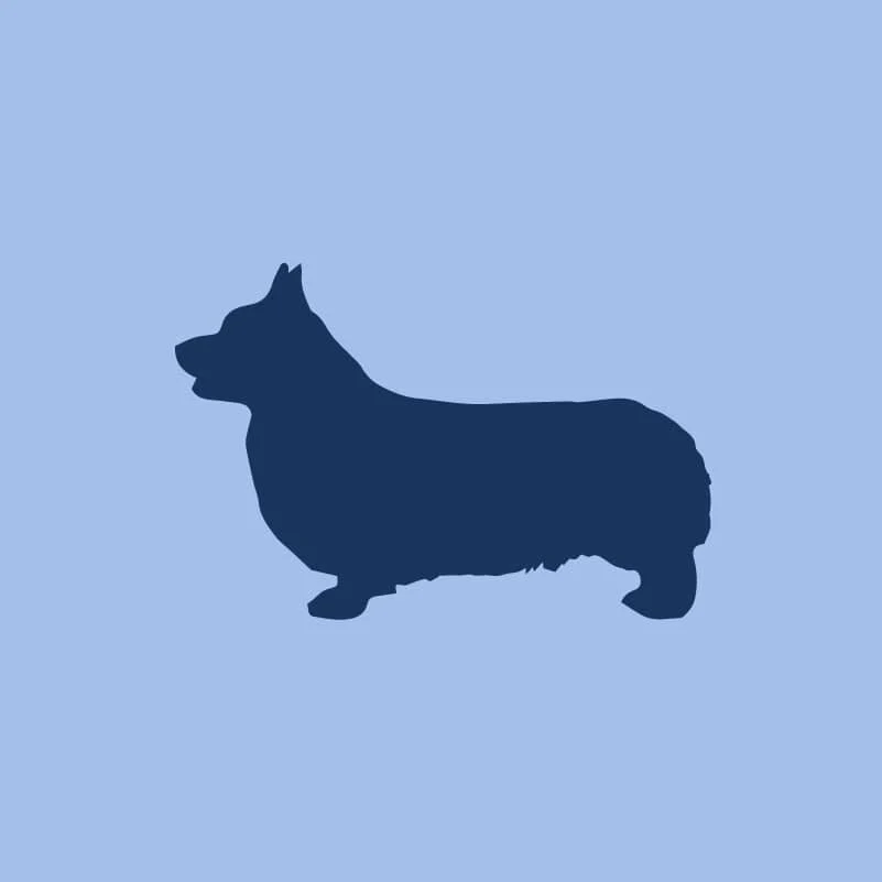 Pembroke Welsh Corgi Toddler Full Zip Sweatshirt - Image 6