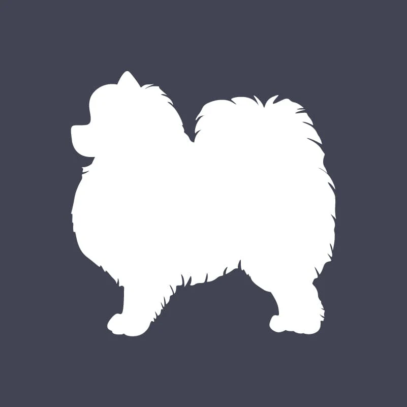 Pomeranian Embroidered AKC Quarter Zip - Image 11