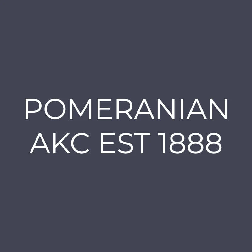 Pomeranian Embroidered AKC Quarter Zip - Image 12