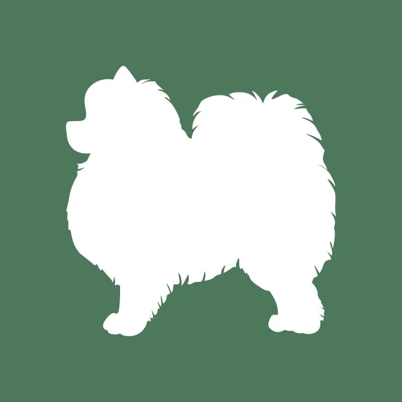 Pomeranian Embroidered AKC Quarter Zip - Image 14