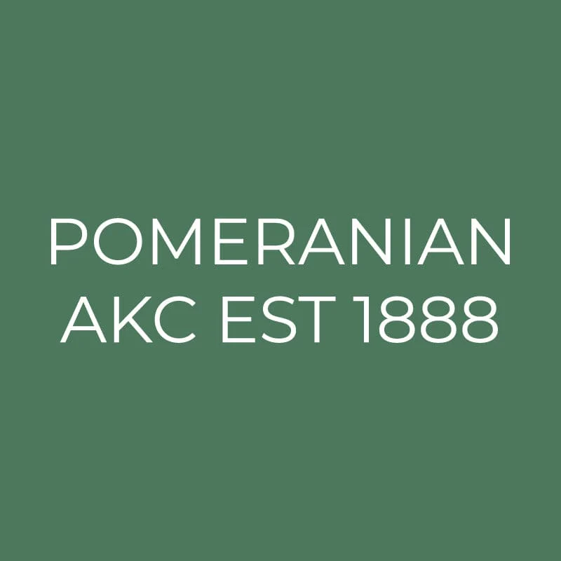 Pomeranian Embroidered AKC Quarter Zip - Image 15