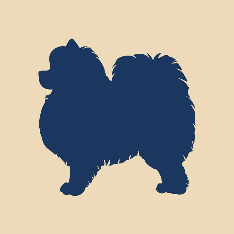 Pomeranian Embroidered AKC Quarter Zip - Image 17