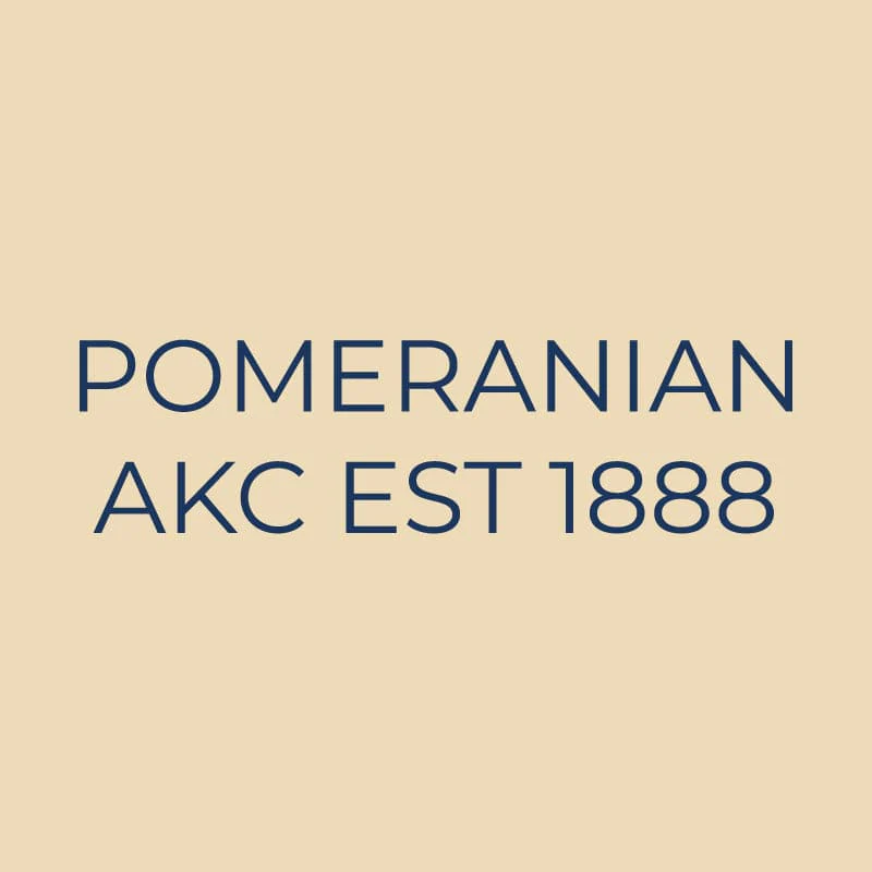 Pomeranian Embroidered AKC Quarter Zip - Image 18