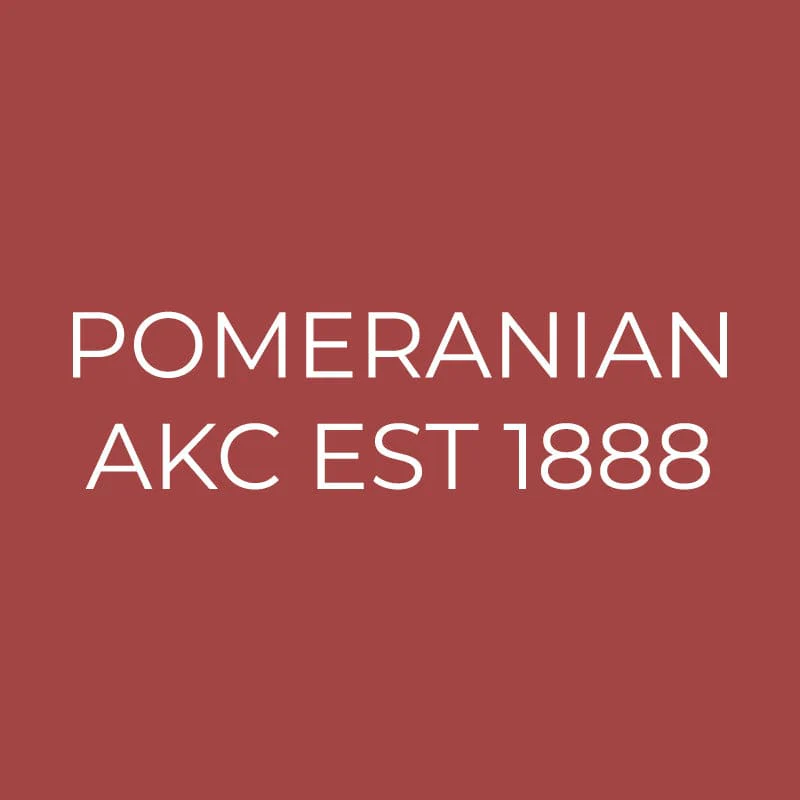 Pomeranian Embroidered AKC Quarter Zip - Image 2