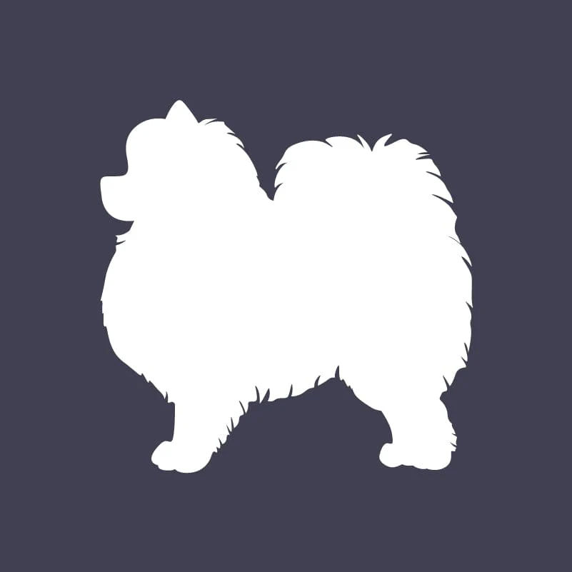 Pomeranian Embroidered AKC Men's Polo - Image 2