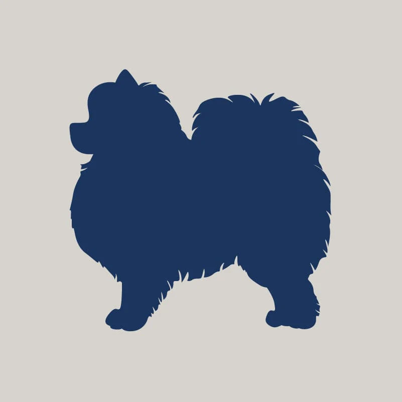 Pomeranian AKC Embroidered Visor - Image 2