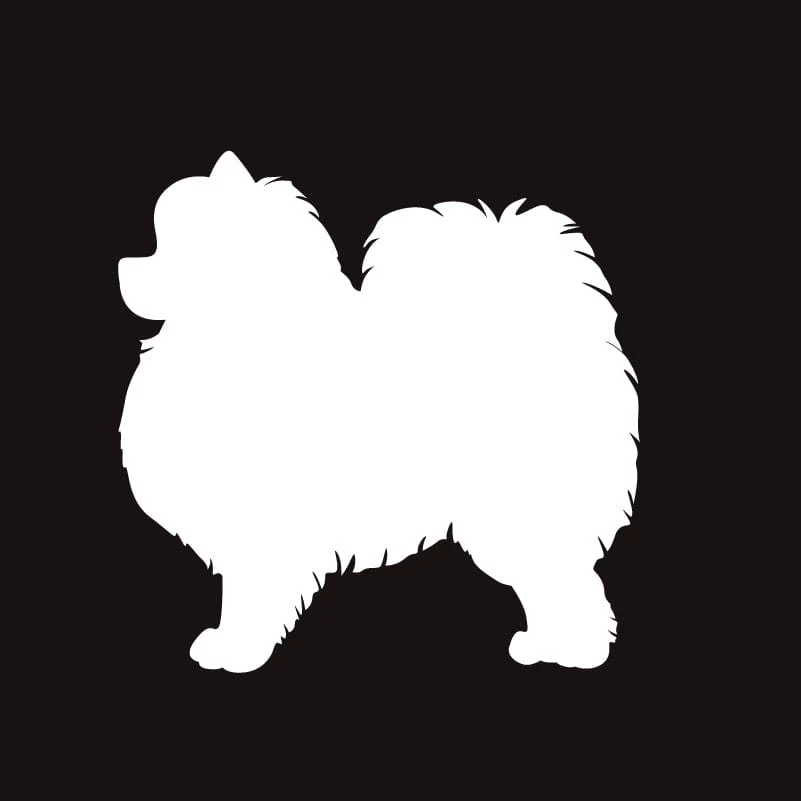 Pomeranian AKC Embroidered Visor - Image 4
