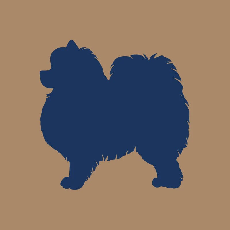 Pomeranian AKC Embroidered Visor - Image 6