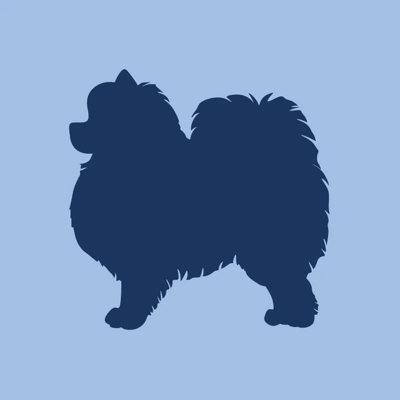 Pomeranian - Children's Full Zip Sweatshirt - Image 4