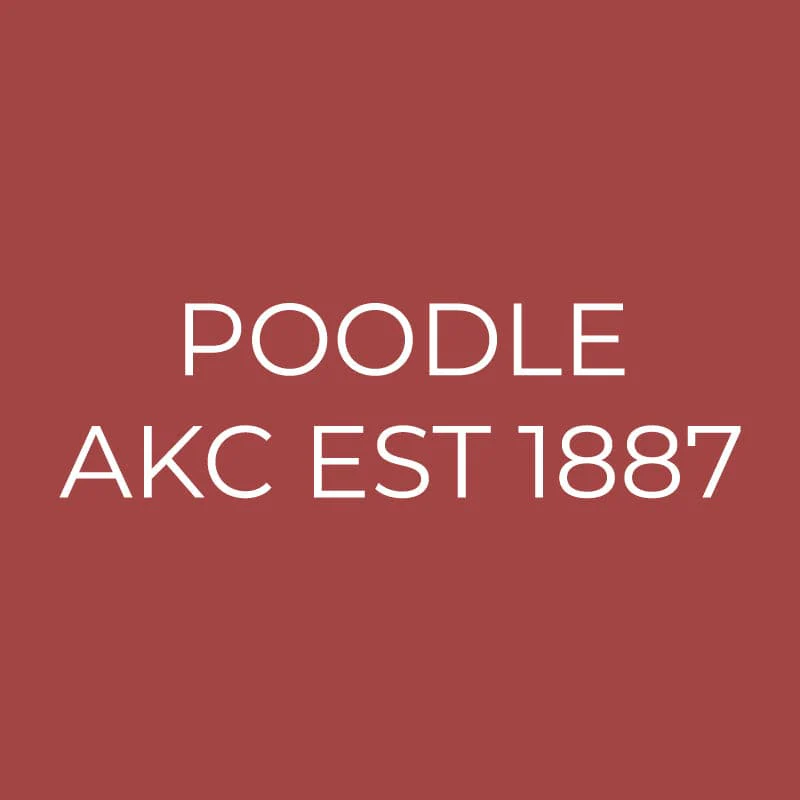 Poodle Embroidered AKC Quarter Zip - Image 12