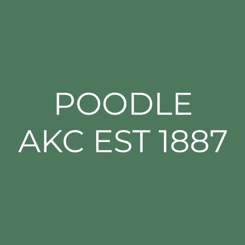Poodle Embroidered AKC Quarter Zip - Image 15