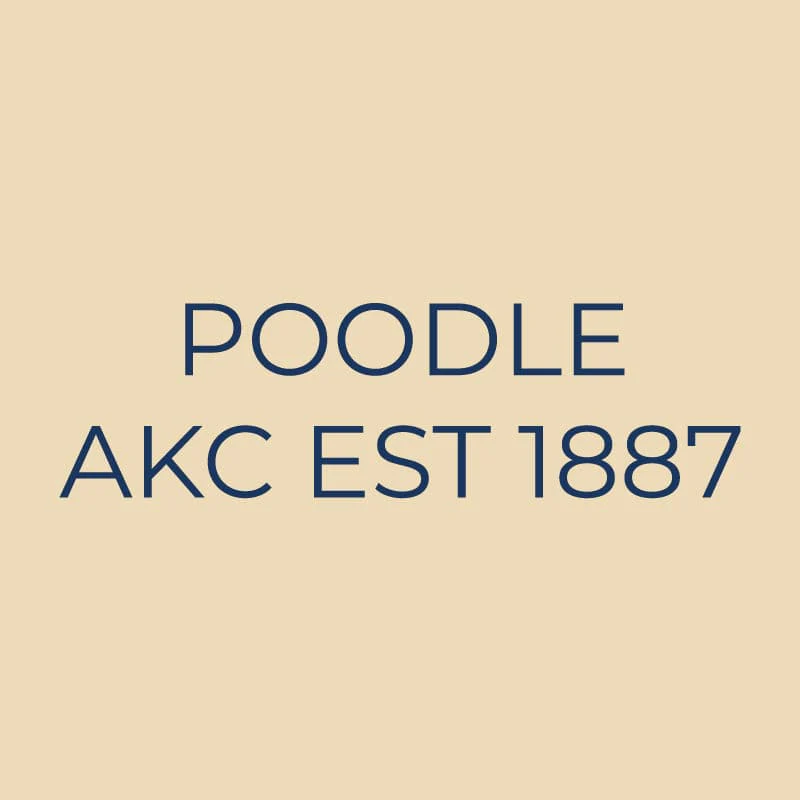 Poodle Embroidered AKC Quarter Zip - Image 18