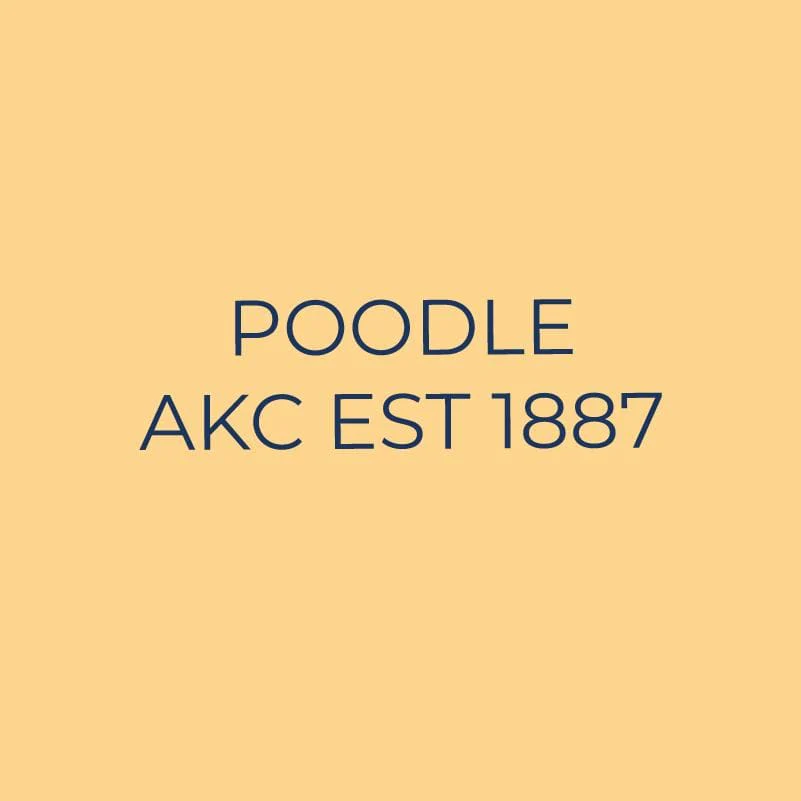 Poodle Embroidered AKC Quarter Zip - Image 3