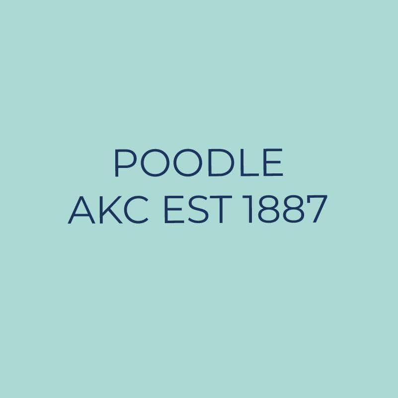 Poodle Embroidered AKC Quarter Zip - Image 6