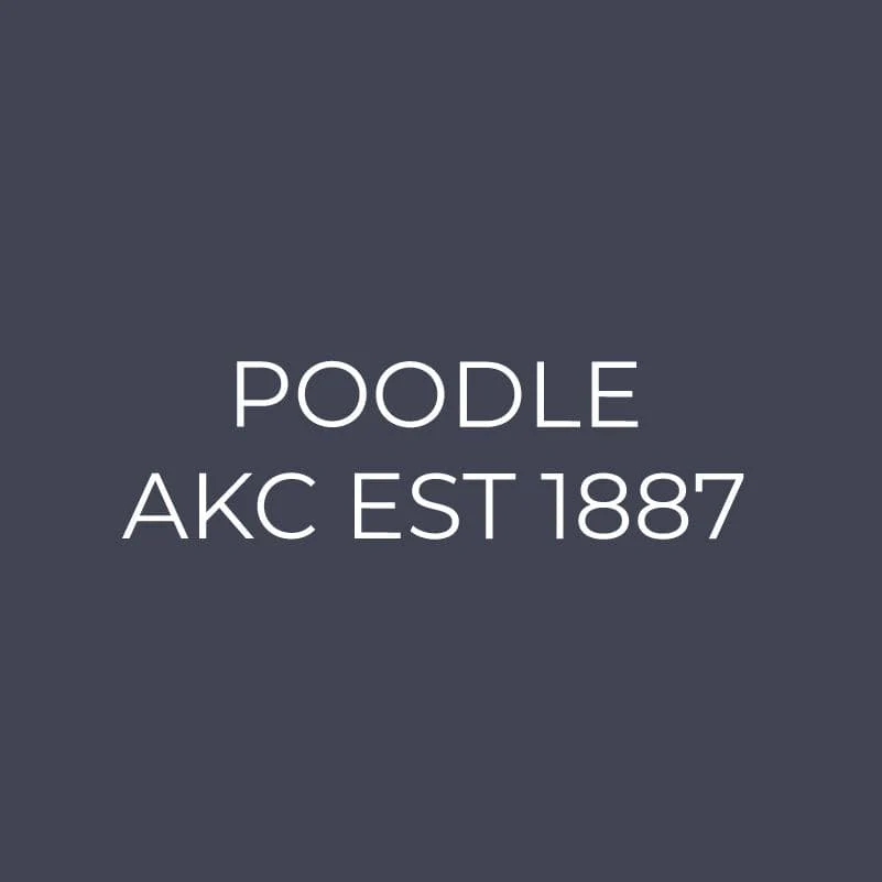 Poodle Embroidered AKC Quarter Zip - Image 9
