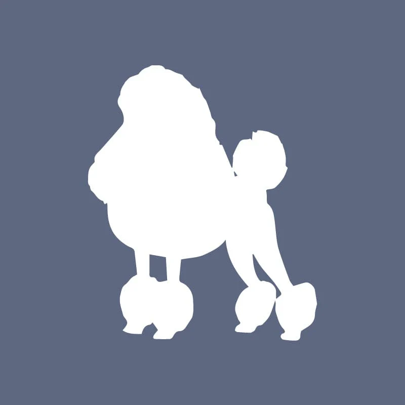 Poodle - Beanie - Image 6