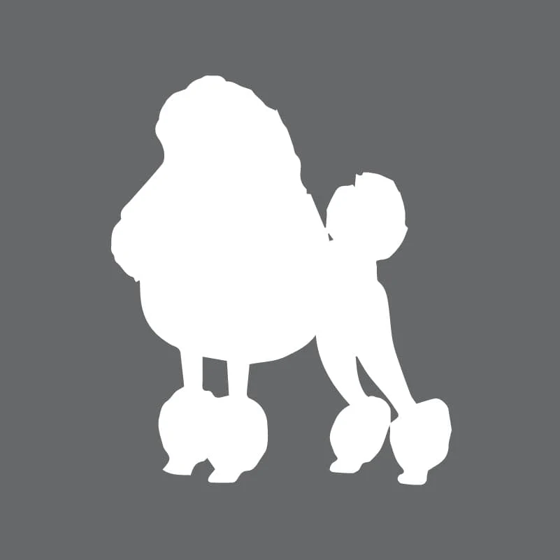 Poodle Toddler Full Zip Sweatshirt - Image 5