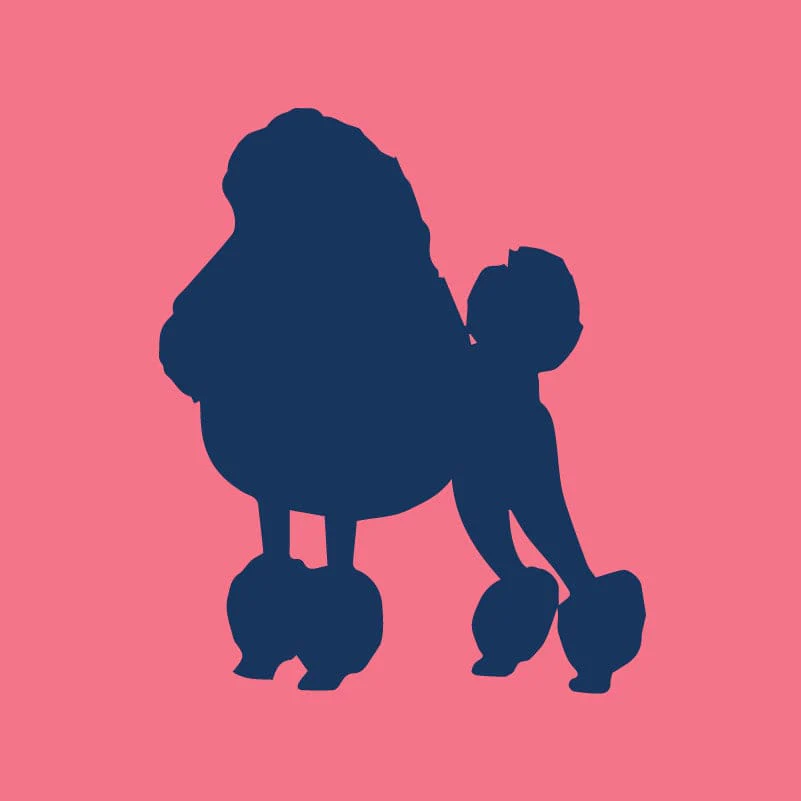 Poodle Toddler Full Zip Sweatshirt - Image 6
