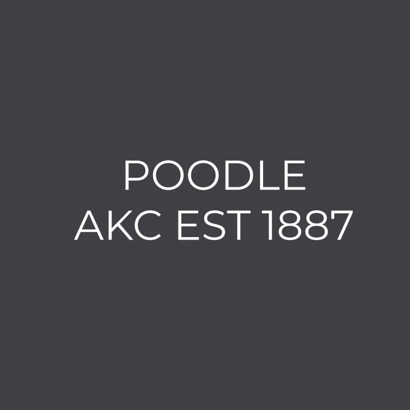 Poodle Embroidered AKC Women's Polo - Image 3