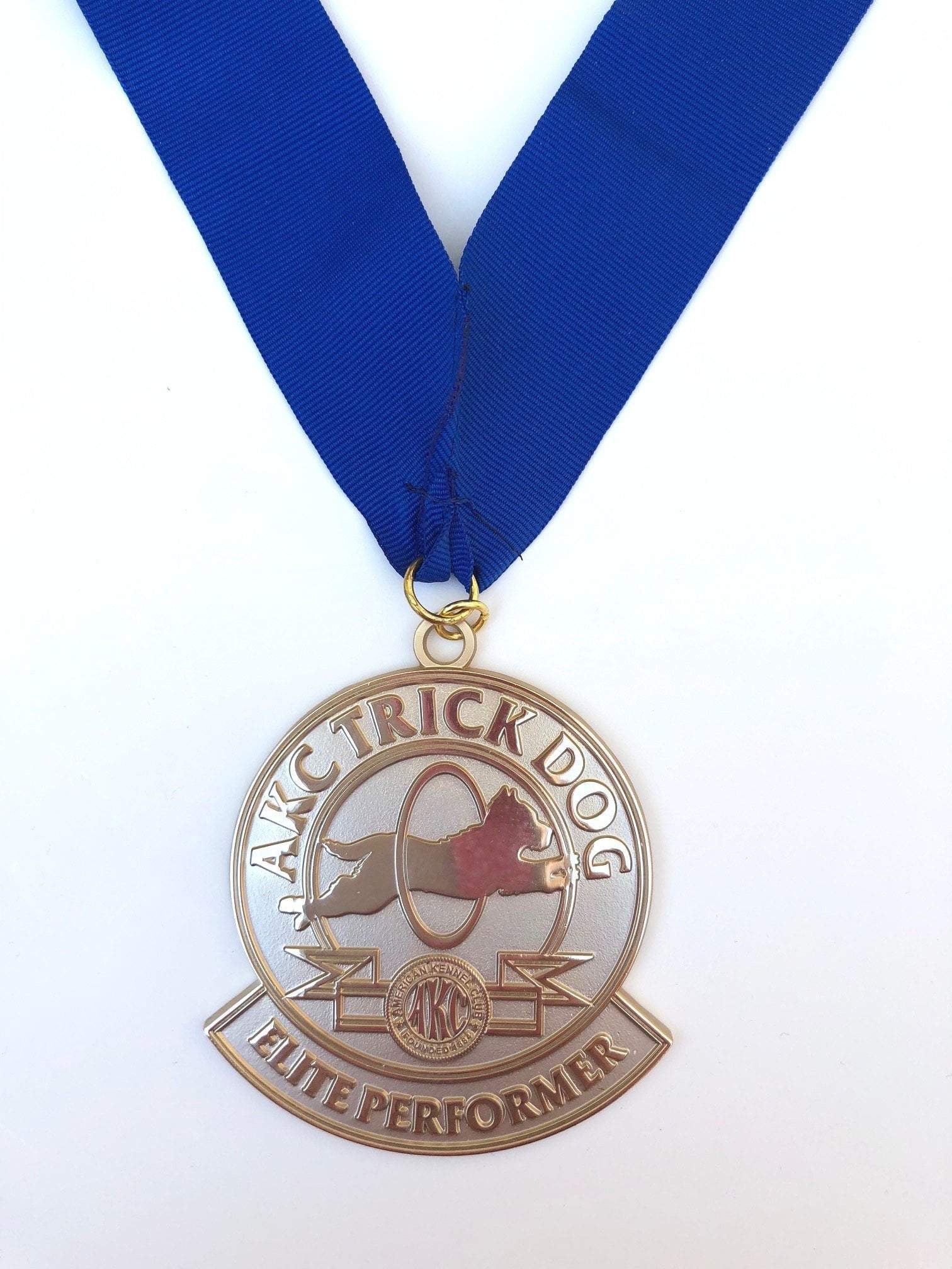 AKC Trick Dog Medallion - Image 6