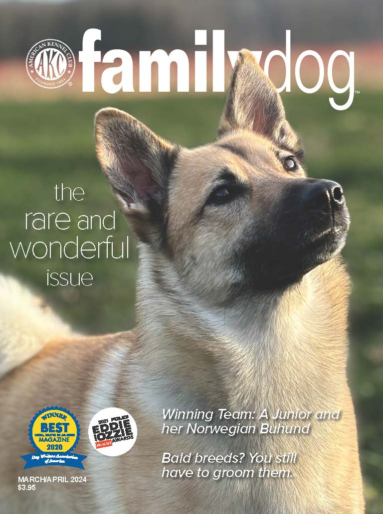 AKC Family Dog Magazine Single Issue (Digital) - Image 10