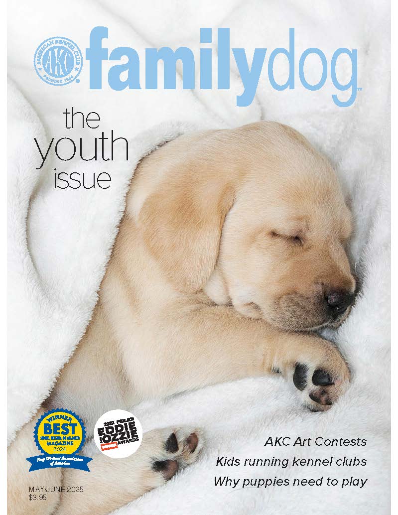 AKC Family Dog Magazine Single Issue (Digital) - Image 3