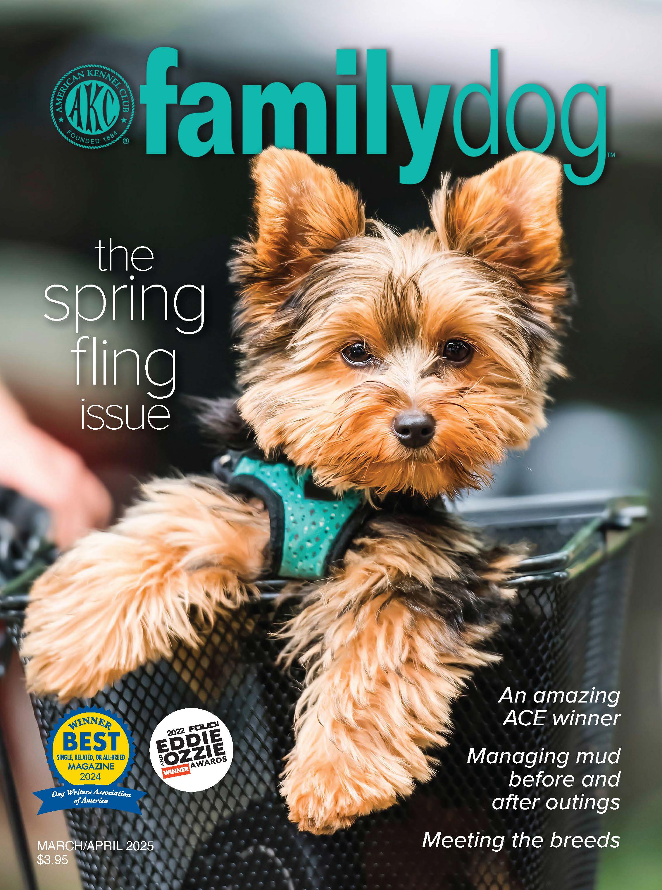 AKC Family Dog Magazine Single Issue (Digital) - Image 4