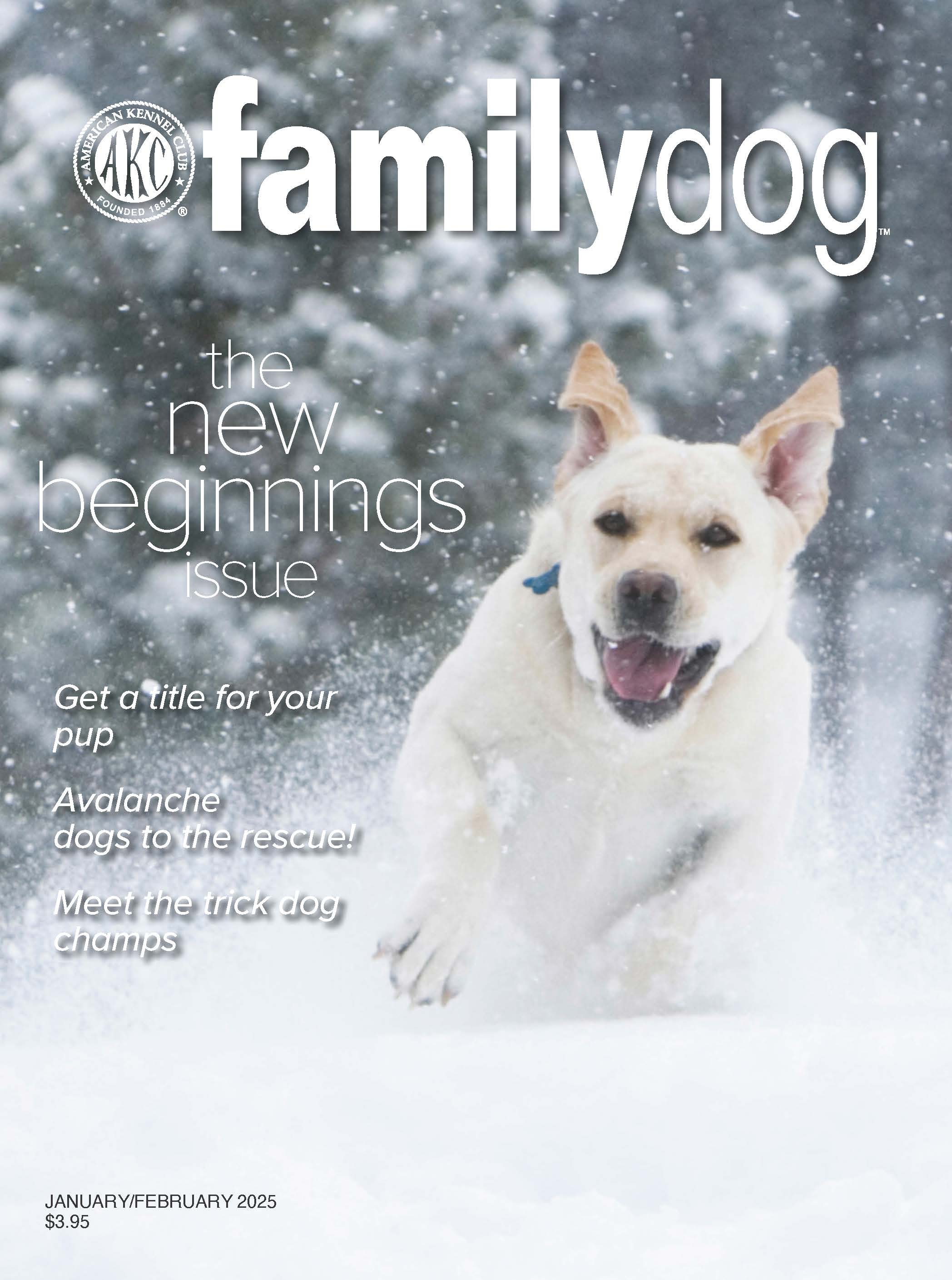 AKC Family Dog Magazine Single Issue (Digital) - Image 5
