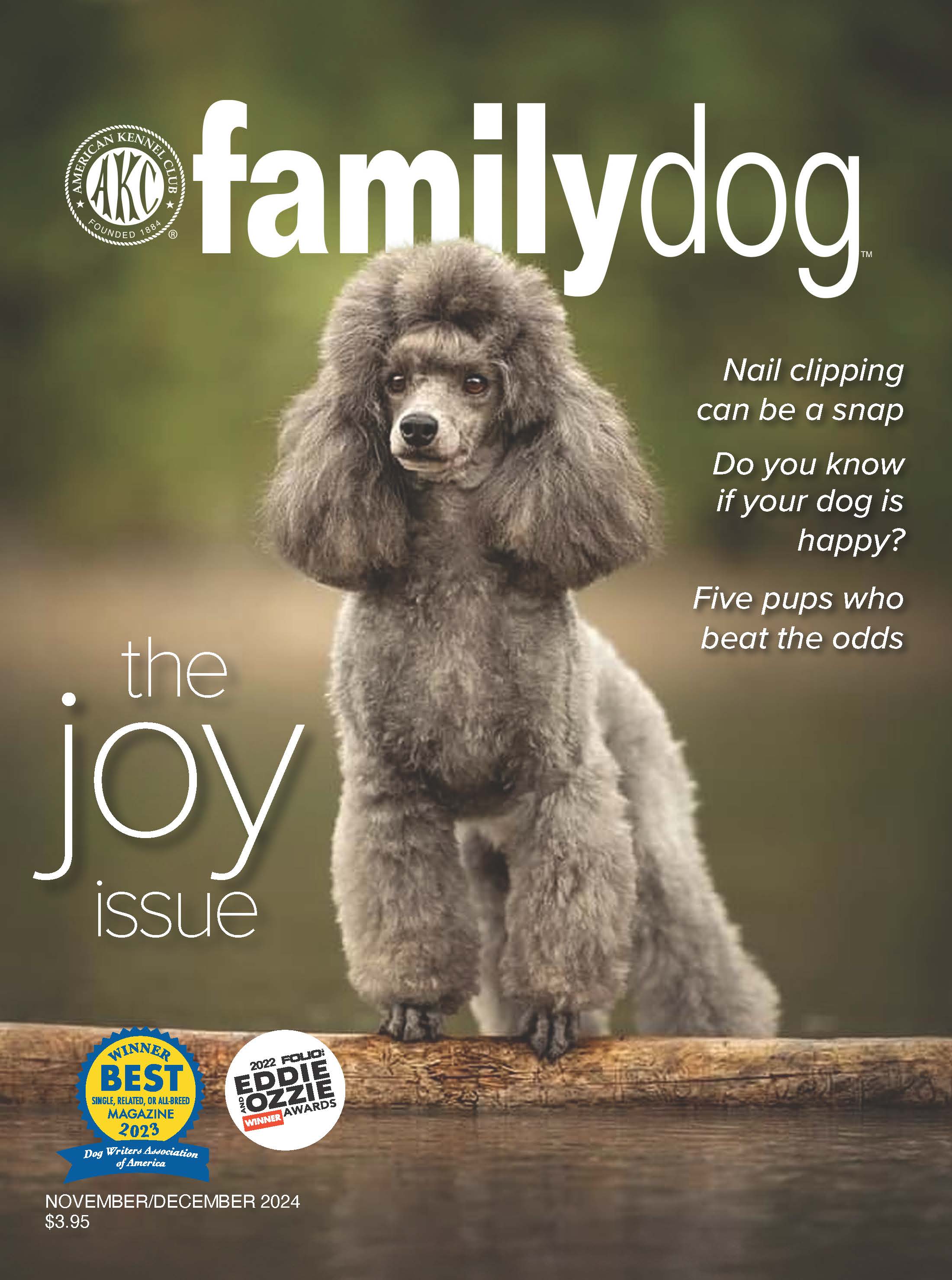 AKC Family Dog Magazine Single Issue (Digital) - Image 6