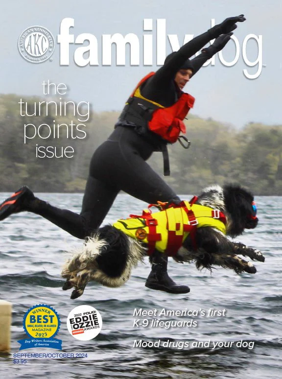 AKC Family Dog Magazine Single Issue (Digital) - Image 7