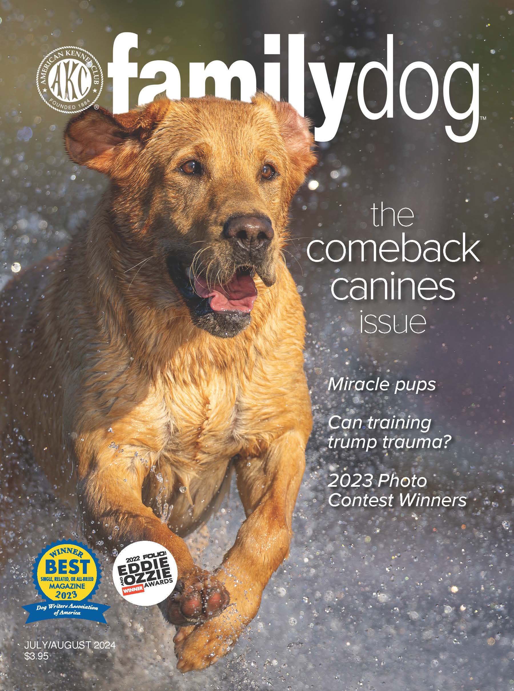 AKC Family Dog Magazine Single Issue (Digital) - Image 8