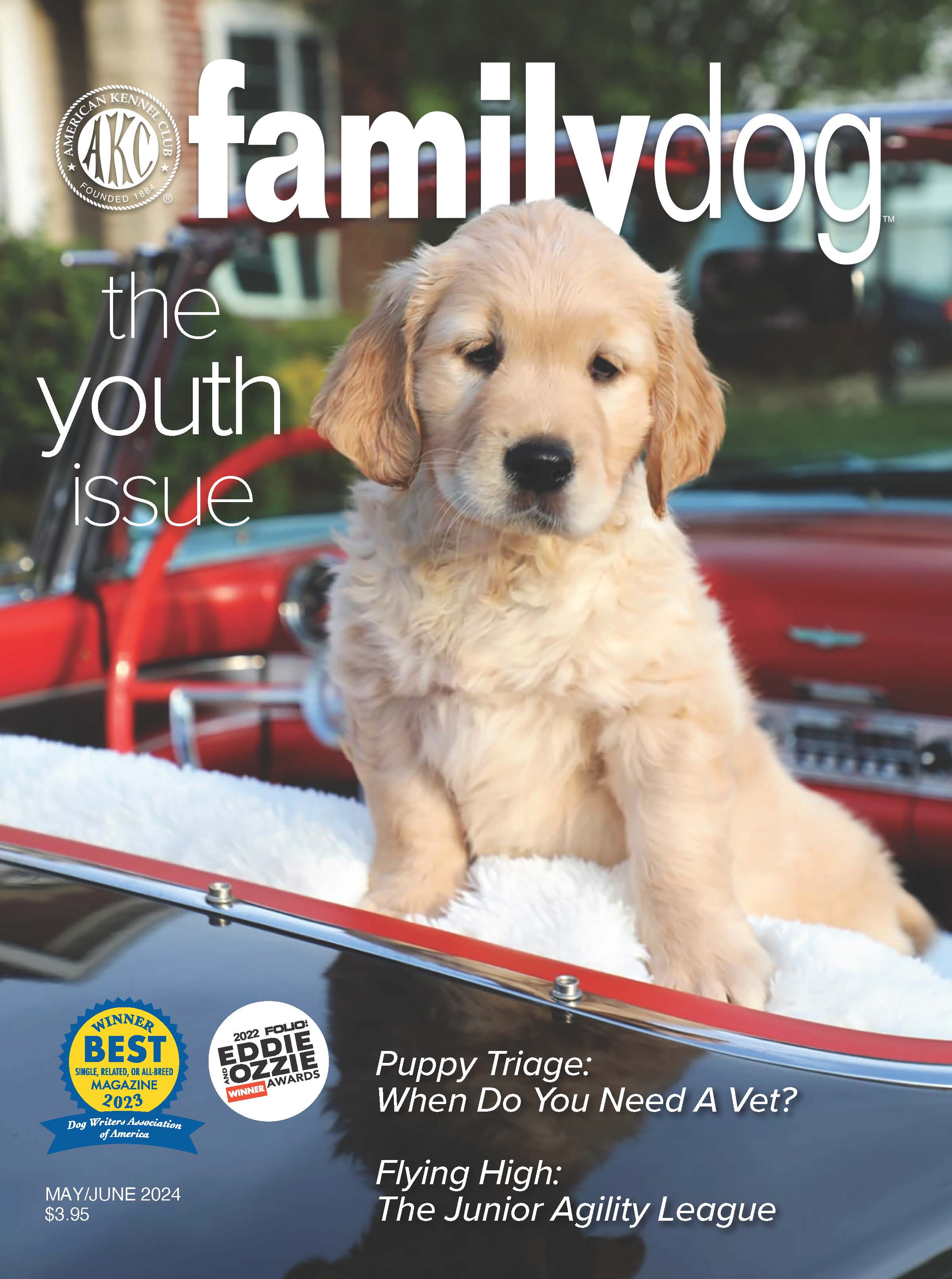 AKC Family Dog Magazine Single Issue (Digital) - Image 9