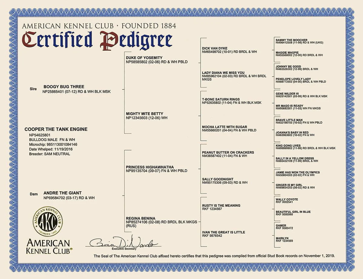 AKC Certified Pedigrees - Image 2
