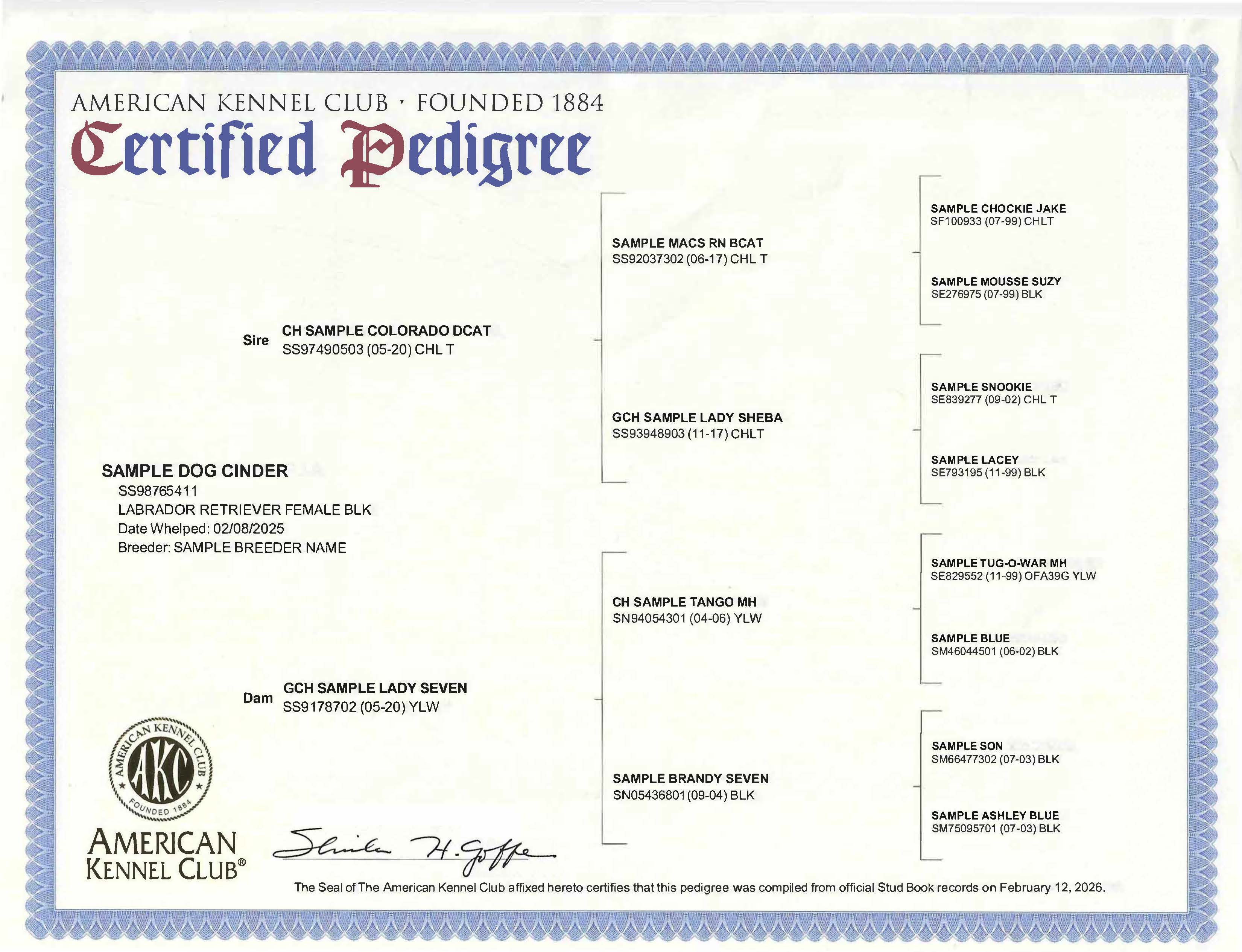 AKC Certified Pedigrees - Image 5