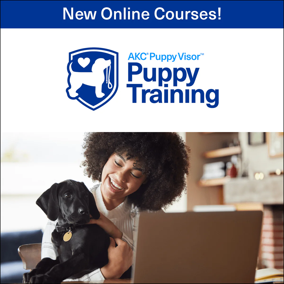 Puppy Training Series – Online Courses - Image 2