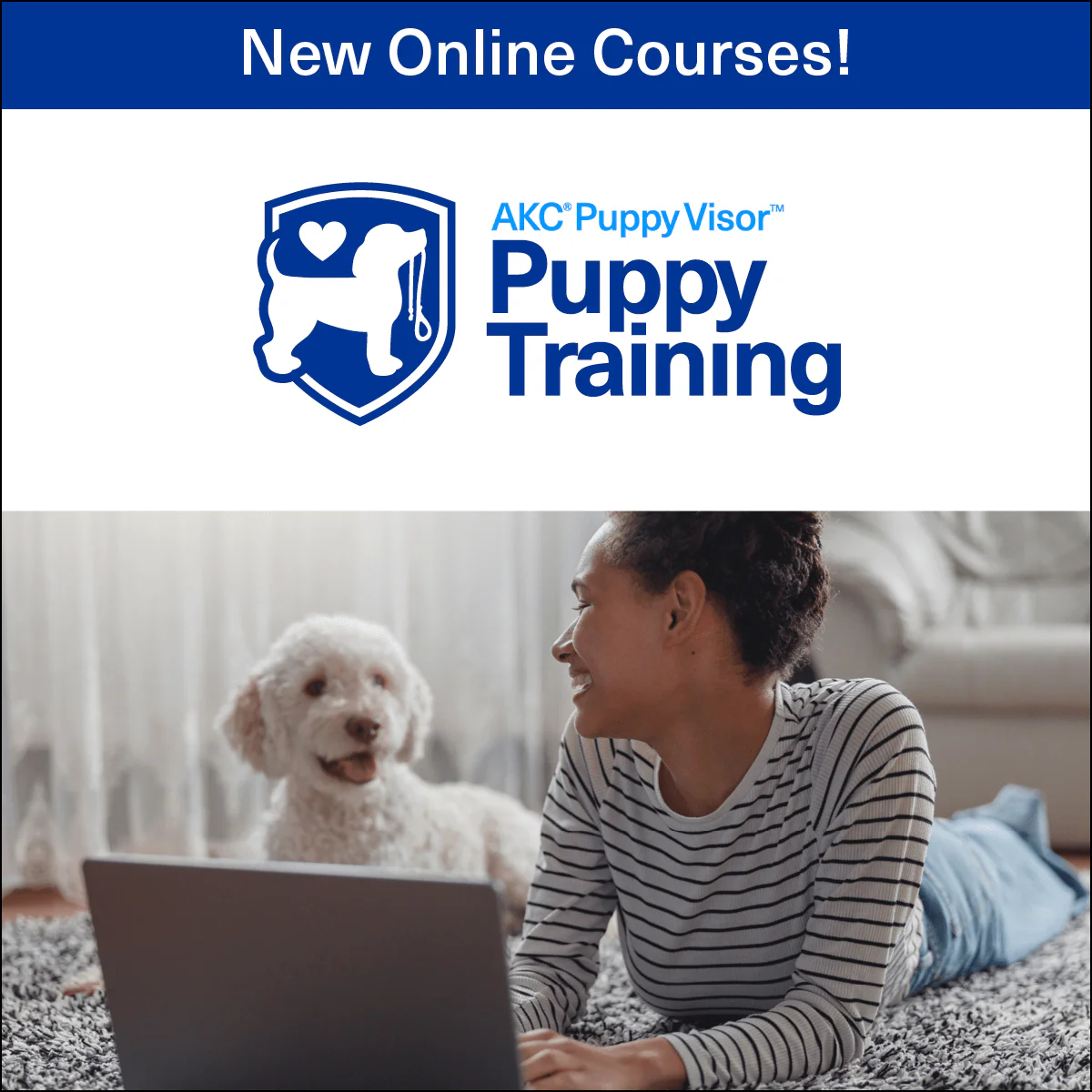 Puppy Training Series – Online Courses - Image 3