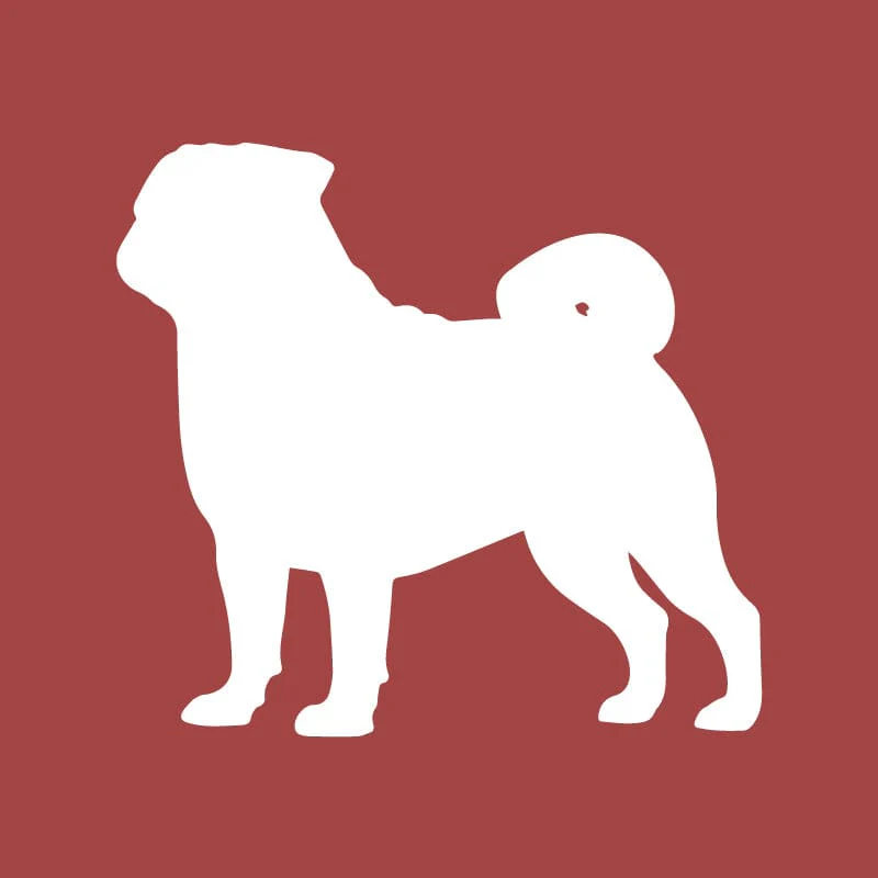 Pug Embroidered AKC Quarter Zip - Image 14