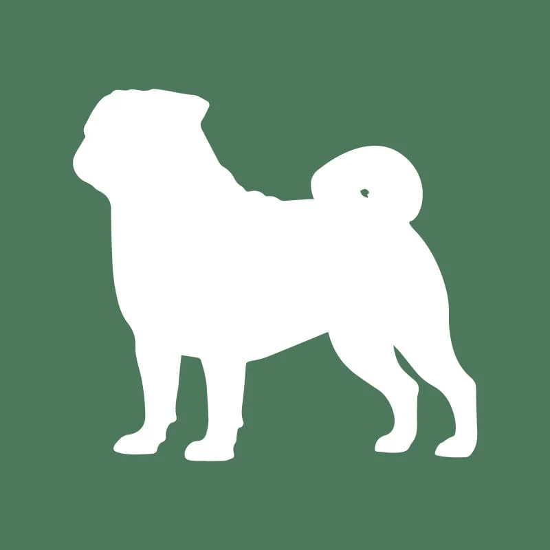 Pug Embroidered AKC Quarter Zip - Image 17