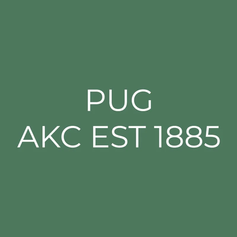 Pug Embroidered AKC Quarter Zip - Image 18